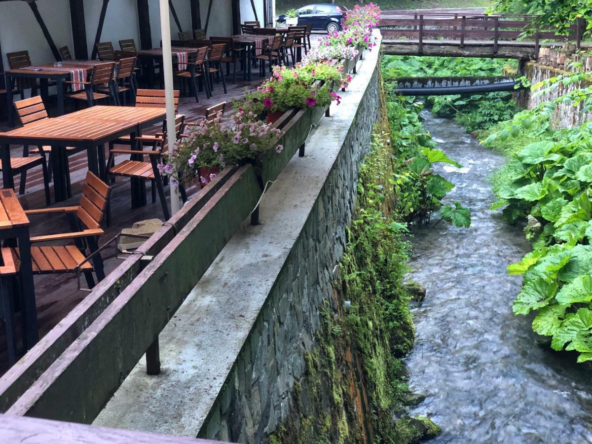 Vila De Argint Aleea Pelesului Nr 2 Σινάια Εξωτερικό φωτογραφία