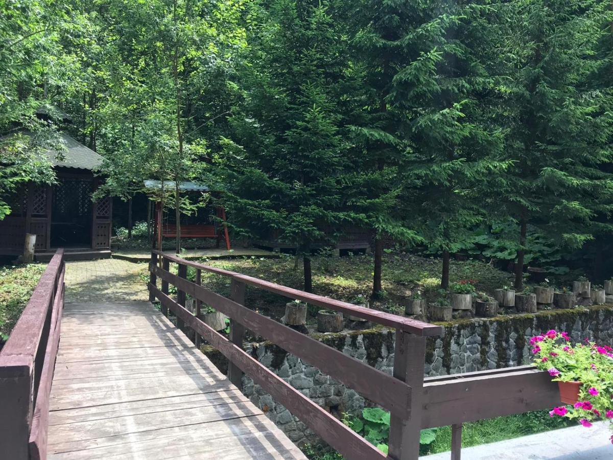 Vila De Argint Aleea Pelesului Nr 2 Σινάια Εξωτερικό φωτογραφία
